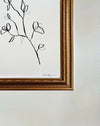 Floral Sketch 6