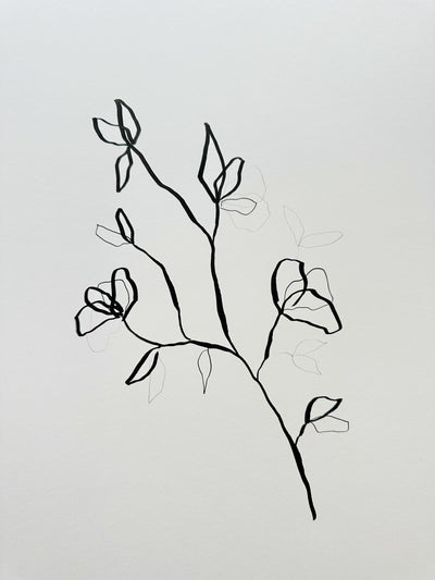 Floral Sketch 6