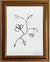 Floral Sketch 7