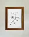 Floral Sketch 7