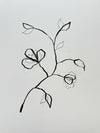 Floral Sketch 7