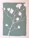 magnolia I
