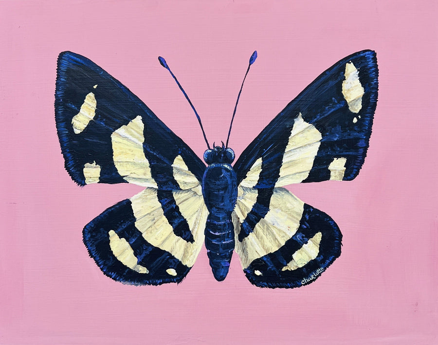 Garrulous - Limited Edition Print