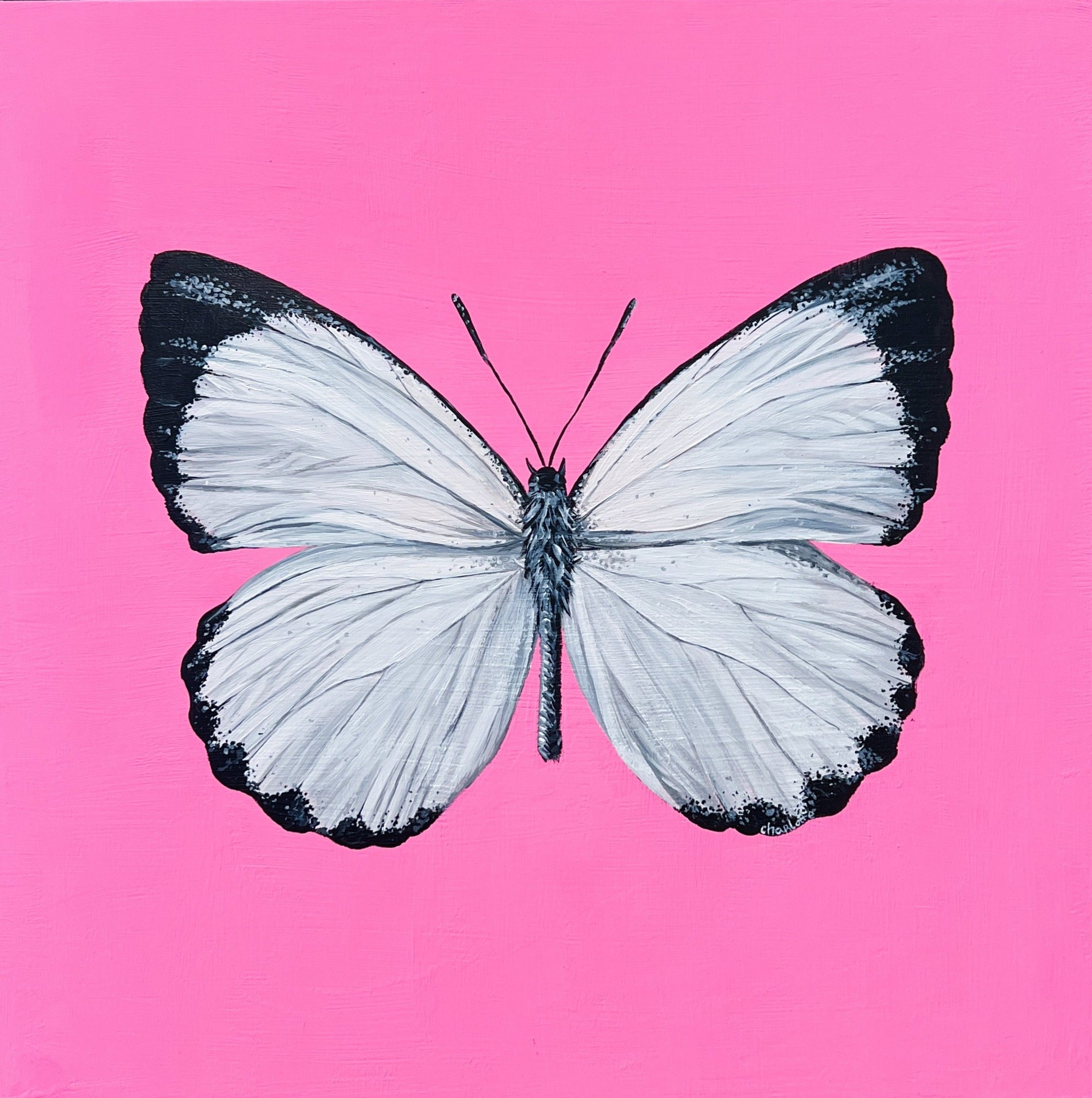 Influencer - Limited Edition Print