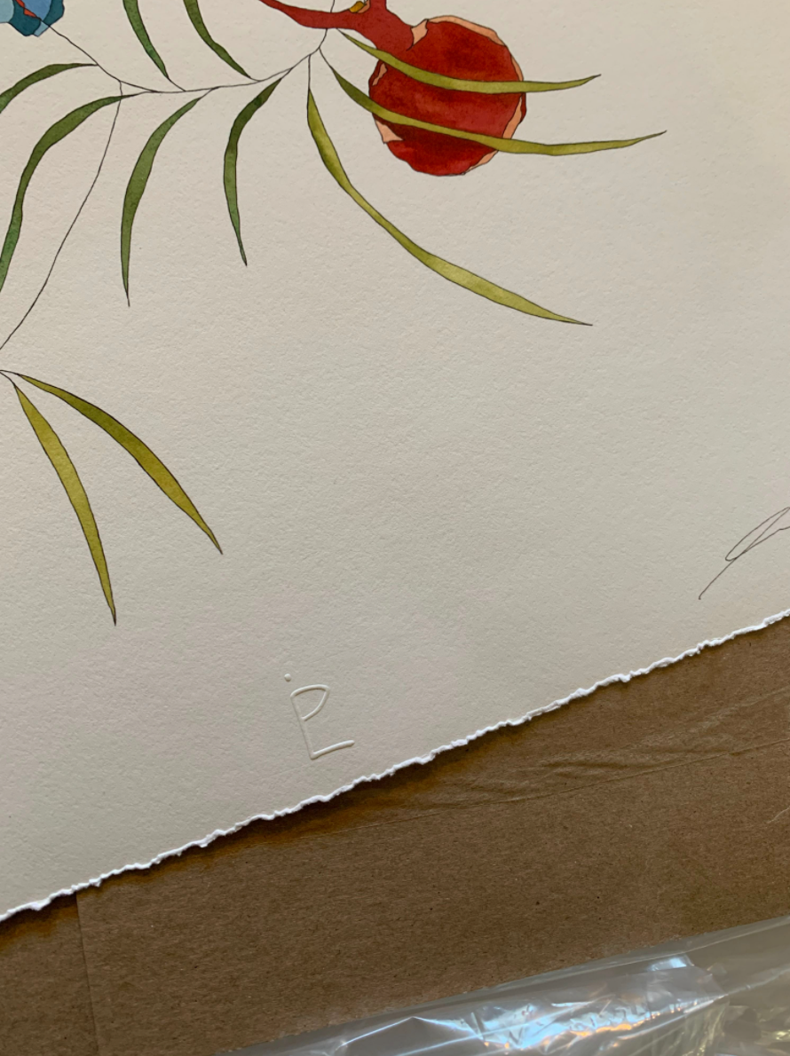 Des Fleurs Pour Ma Mére II