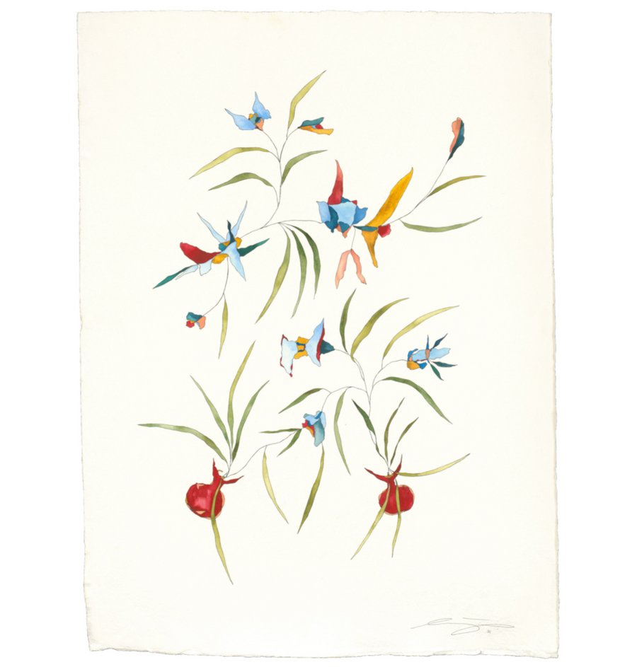 Des Fleurs Pour Ma Mére II